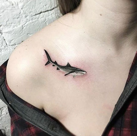 Small Shark Tattoo for Women, Tattoo Tattoos Women Shark